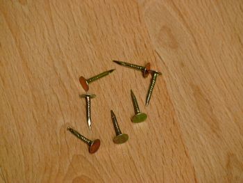 Fastener nail