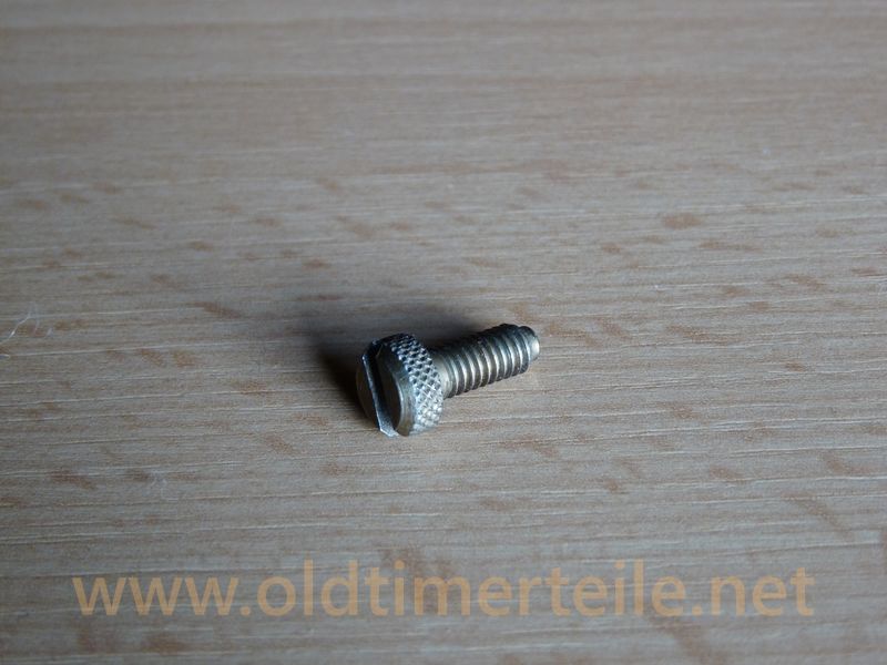 Leerlaufeinstellschraube