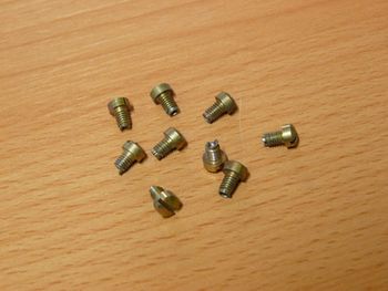 Screw