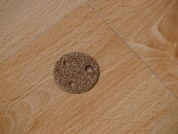 Cork gasket