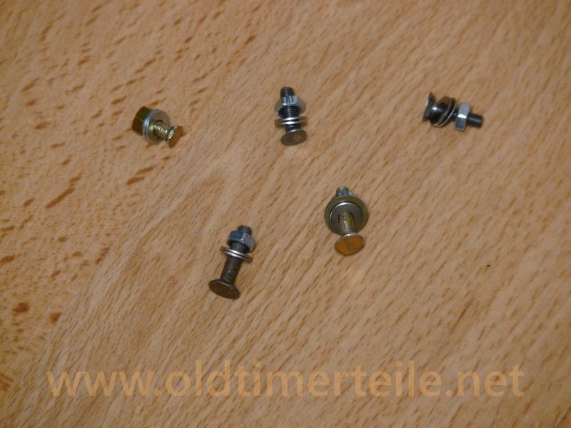 Leistenschraube