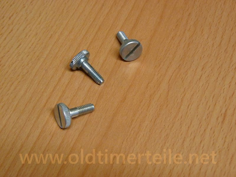 Leerlaufeinstellschraube