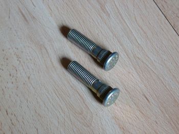 Radbolzen