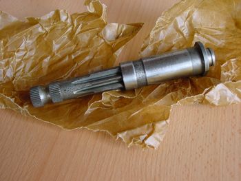 Ritzel