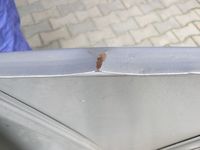 Heckklappe – Bild 20