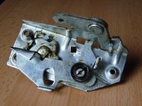 Sternriegel – Bild 2