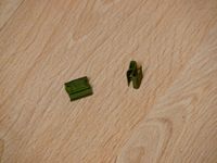 Klammer – Bild 2